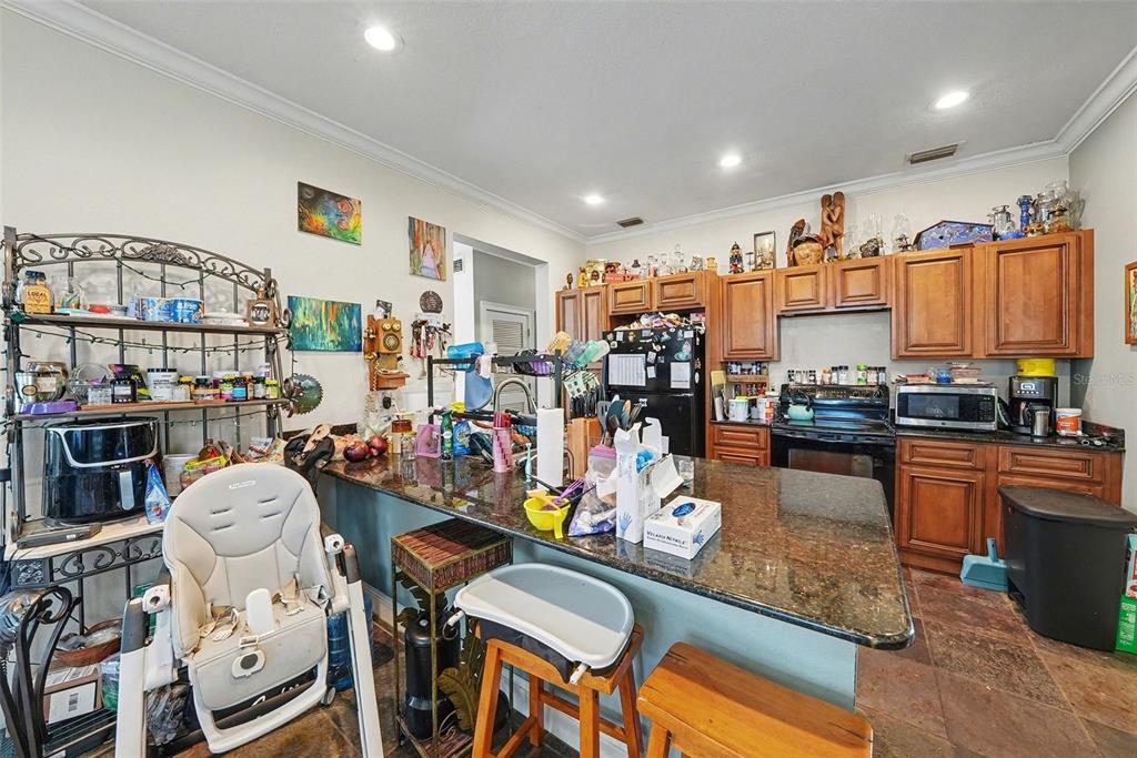 209 Dennison Road Lutz, FL 33549 - Photo 7 of 35