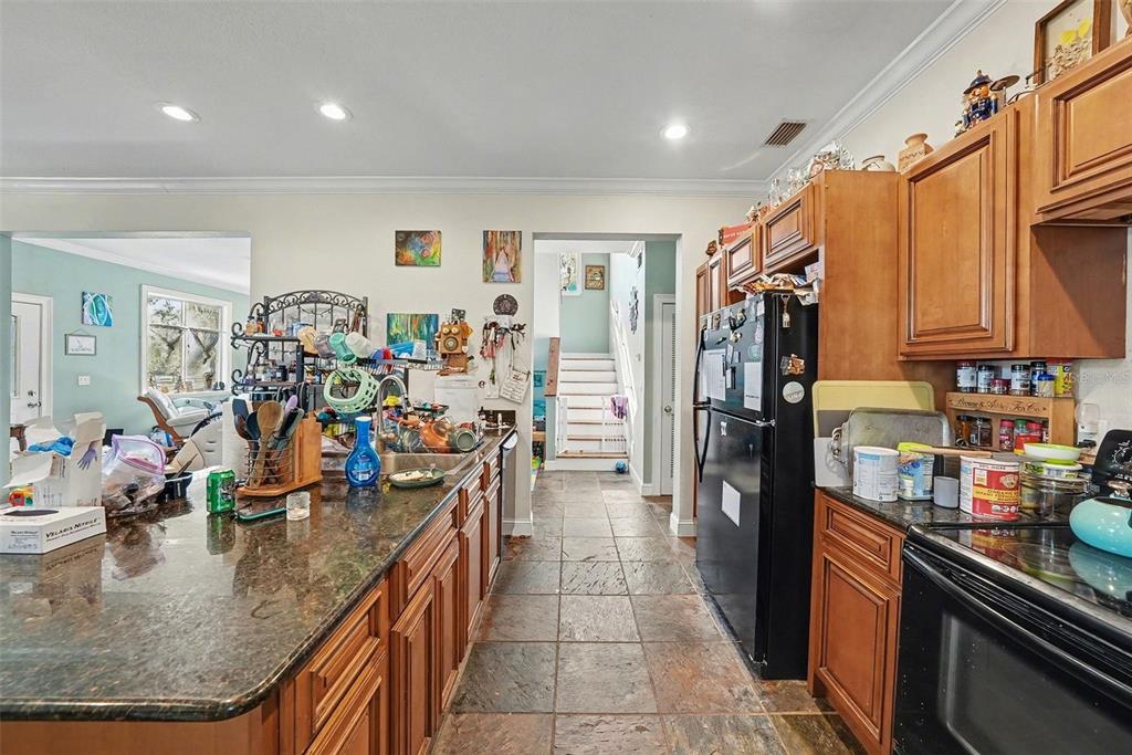 209 Dennison Road Lutz, FL 33549 - Photo 8 of 35