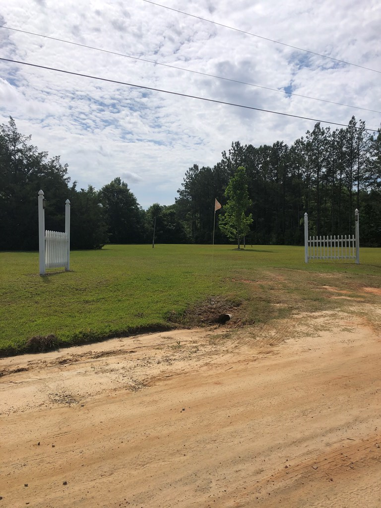 859 Watford Road Slocomb, AL 36375 - Photo 20 of 20 Extra Lot