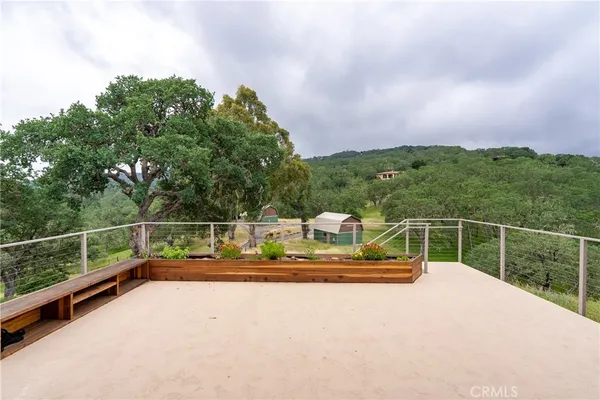 a view of a garden with a tree