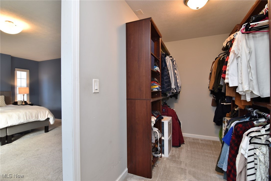 3329 Braemar Road Cleveland, OH 44120 - Photo 20 of 33 Primary bedroom closet