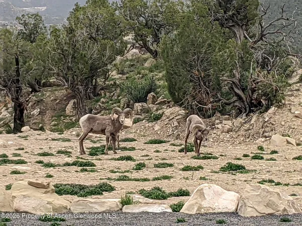 a view of sky from stairs