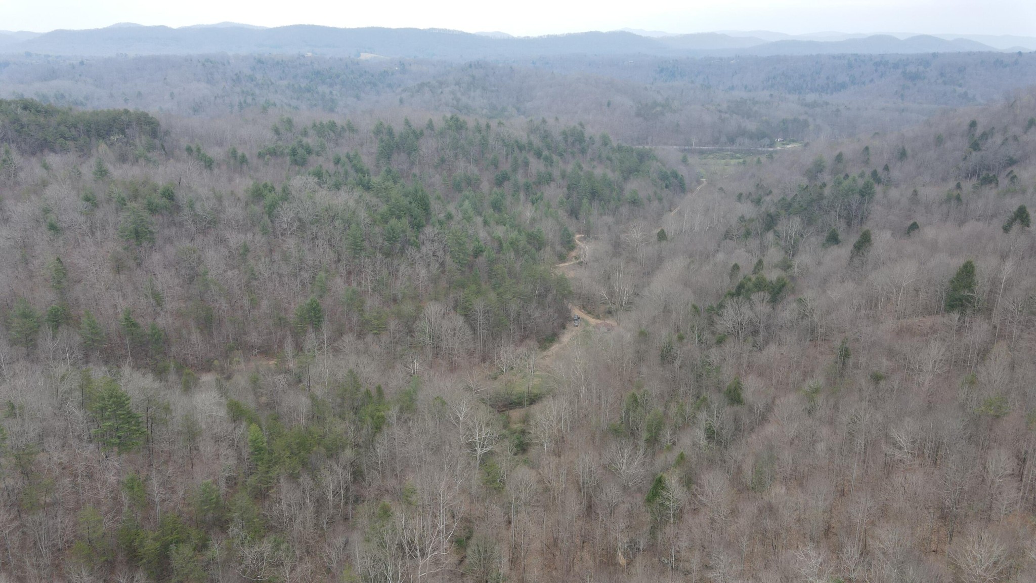 899 Morning Glory Road Oneida, TN 37841 - Photo 13 of 27