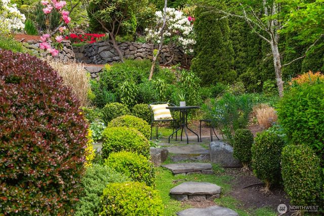 a view of a backyard with plants and a fountain