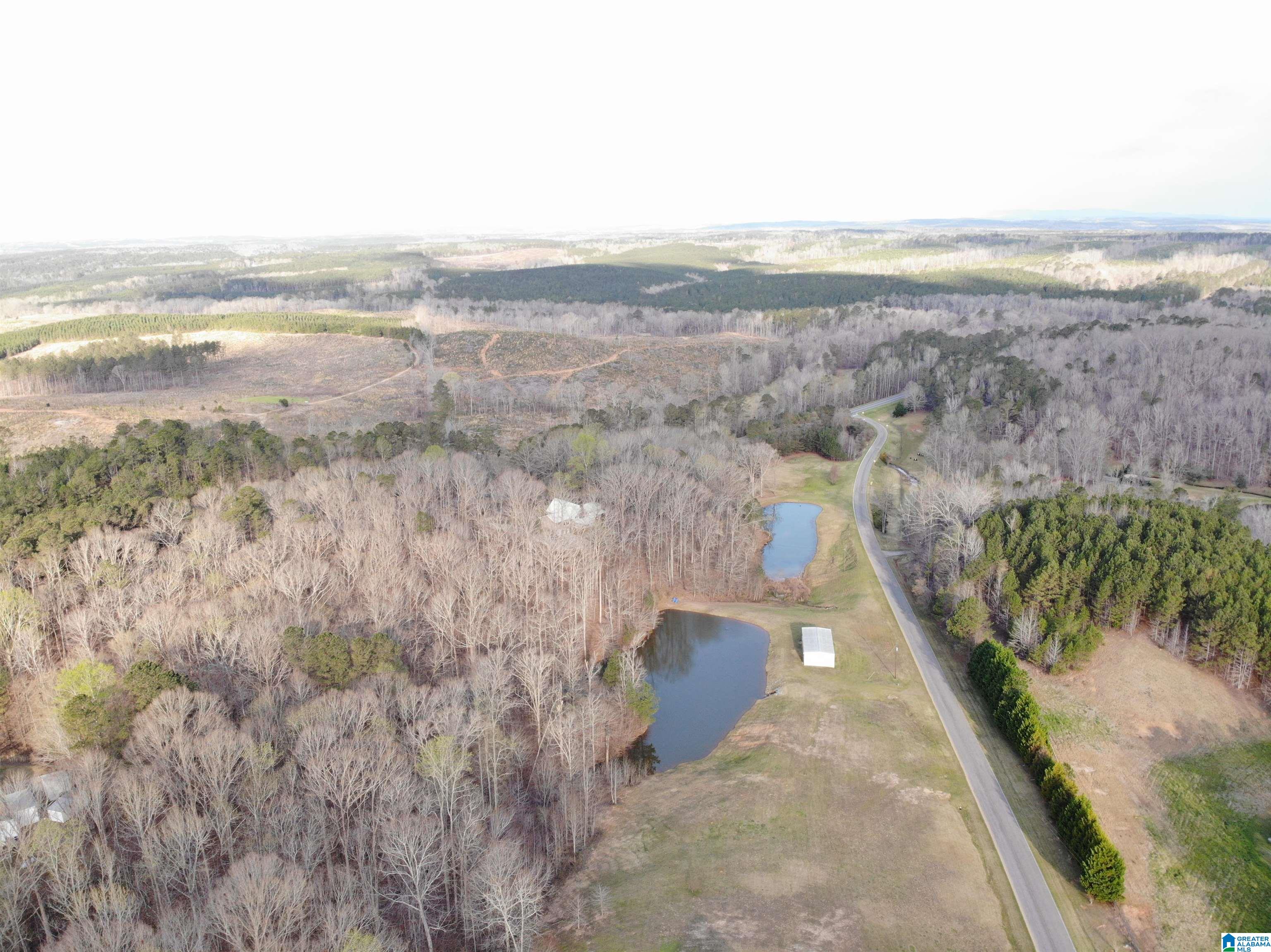 61 County Road, Unit 5 21 Roanoke, AL 36274 - Photo 3 of 9