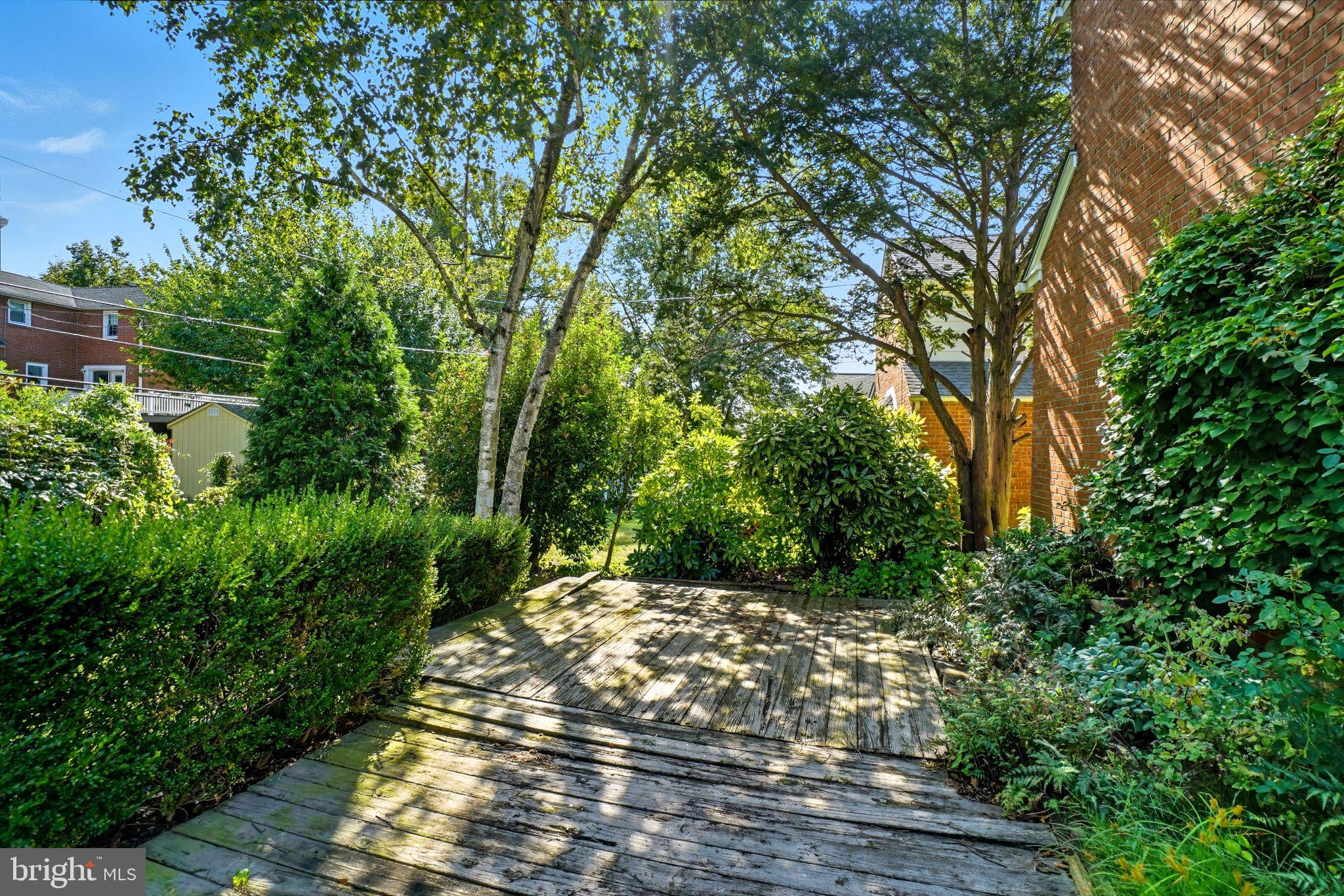 979 Edgewood Drive Springfield, PA 19064 - Photo 30 of 36 a view of a yard with plants and large trees