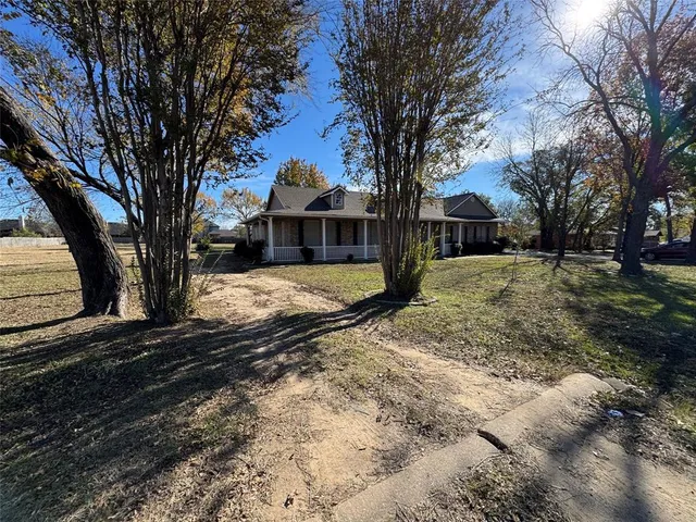 a view of a yard with a large tree