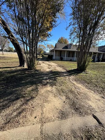 a view of a yard with a large tree