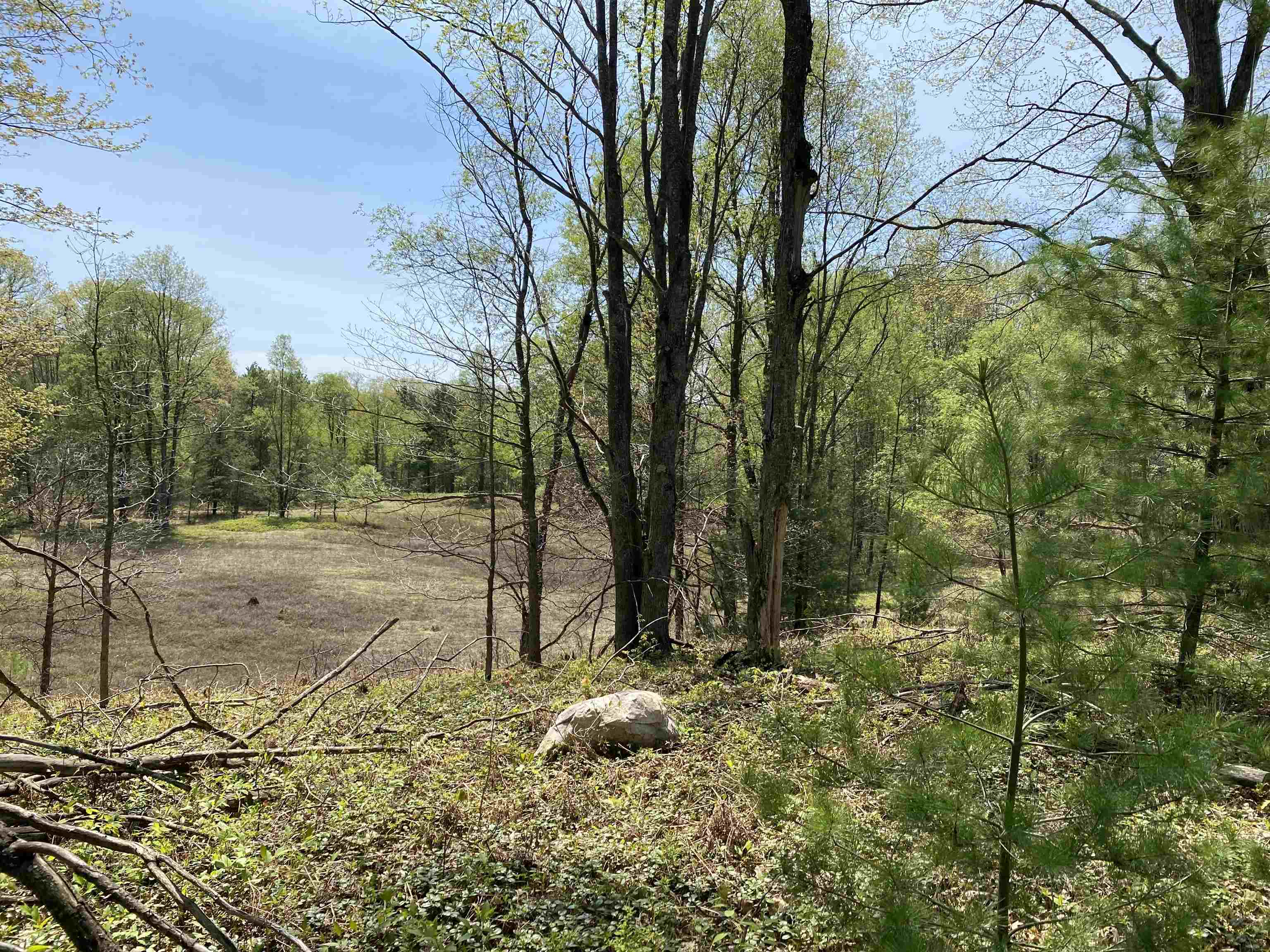 47 South 47 3/4 Road, Unit FOREST DRIVE LOT: 4 Cadillac, MI 49601 - Photo 13 of 14