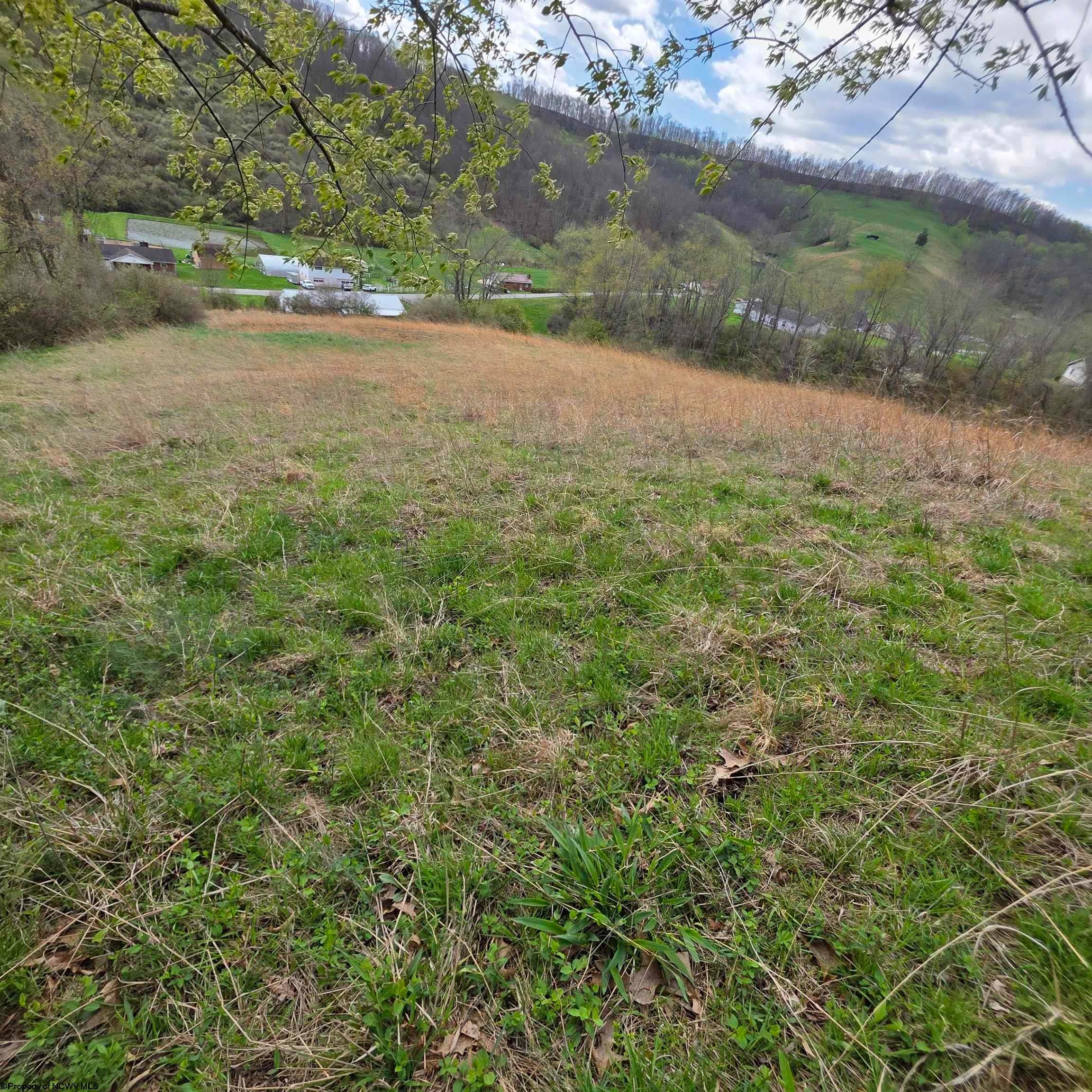 Tbd Simpson Run Road Weston, WV 26452 - Photo 5 of 19 Gallery Image 5