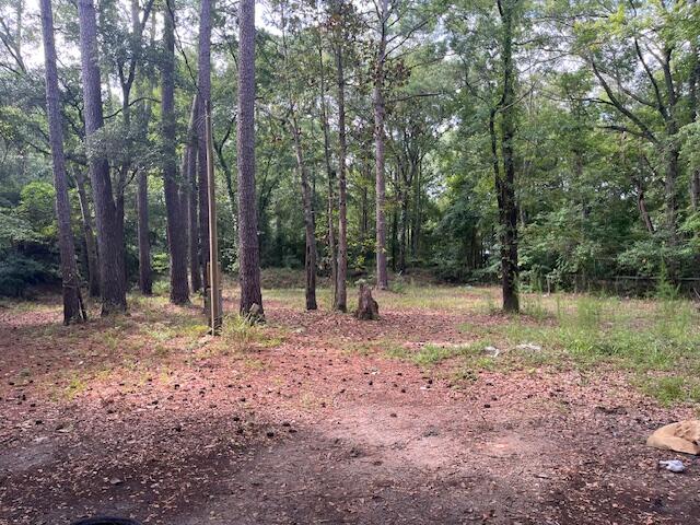 3873 State Rd S-10-1333 Johns Island, SC 29455 - Photo 1 of 3 IMG_7636
