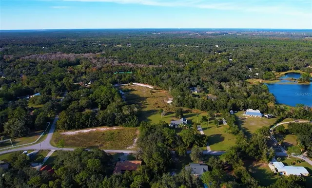 an aerial view of residential houses with outdoor space and trees