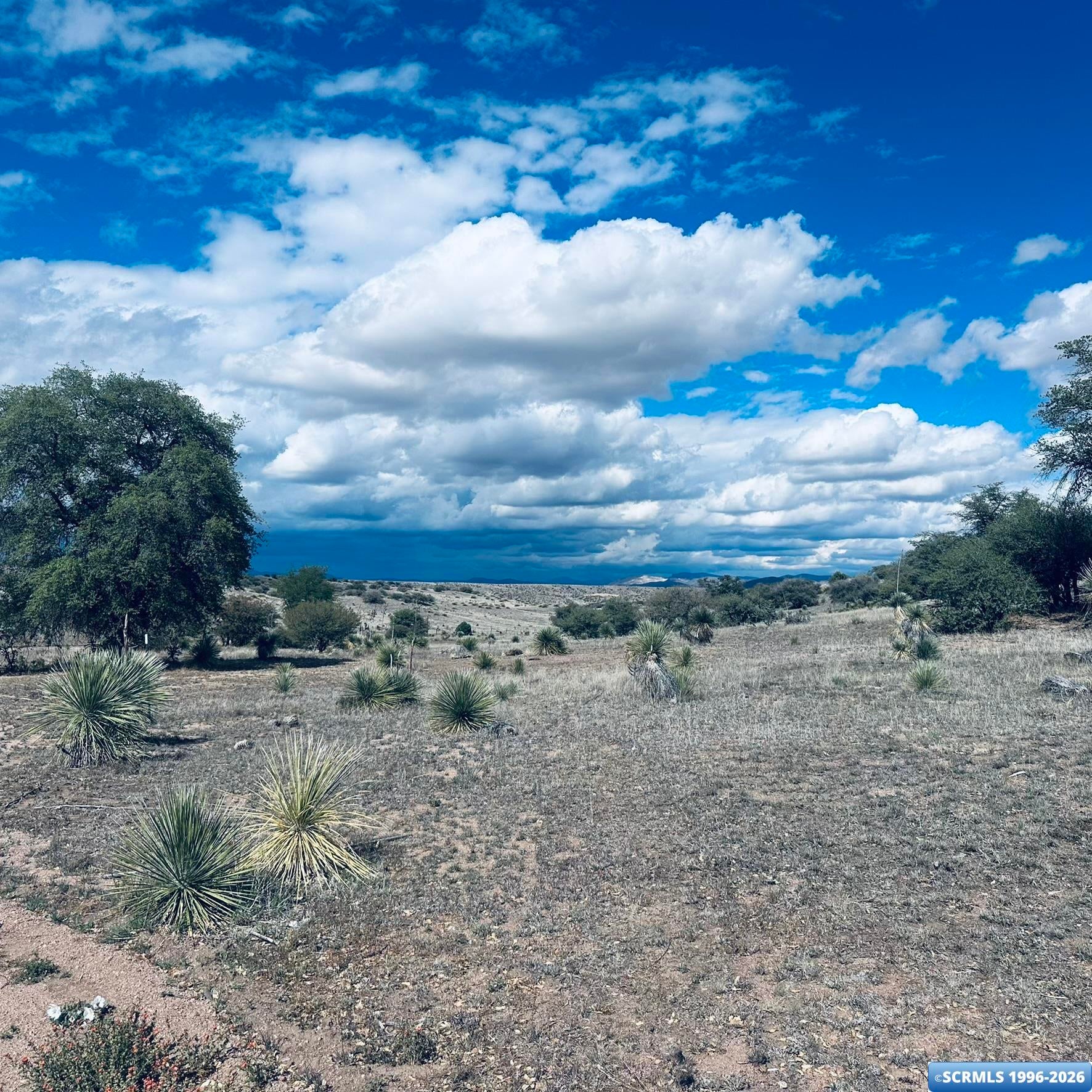 250 Salars Road Silver City, NM 88061 - Photo 14 of 48 Gallery Image 14