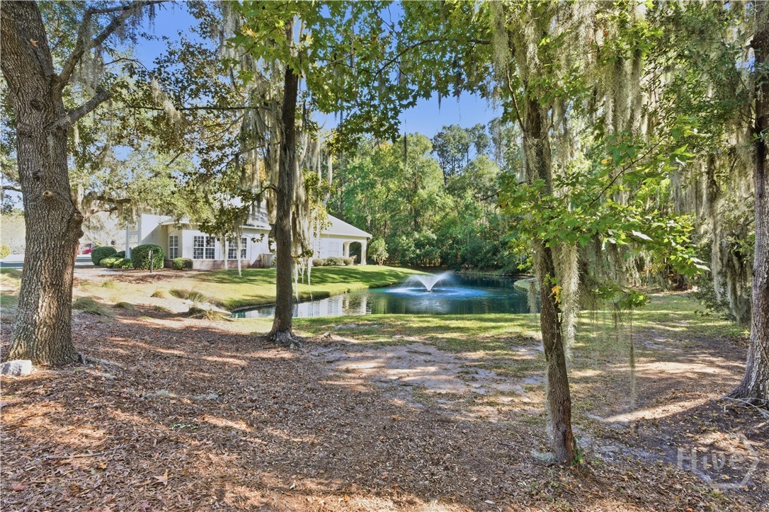 11 Wild Heron Villas Road Savannah, GA 31419 - Photo 39 of 45 A beautiful place to call home.