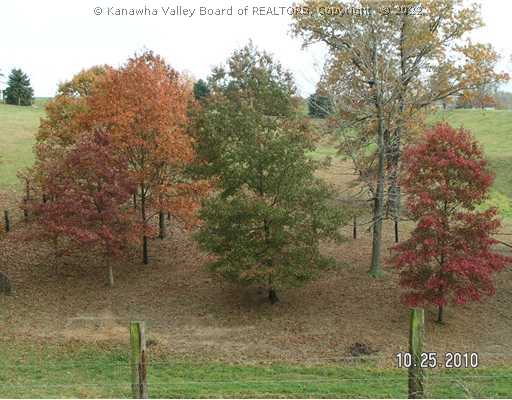 492 Siegrist Road Letart, WV 25253 - Photo 4 of 8 Land/Lot.