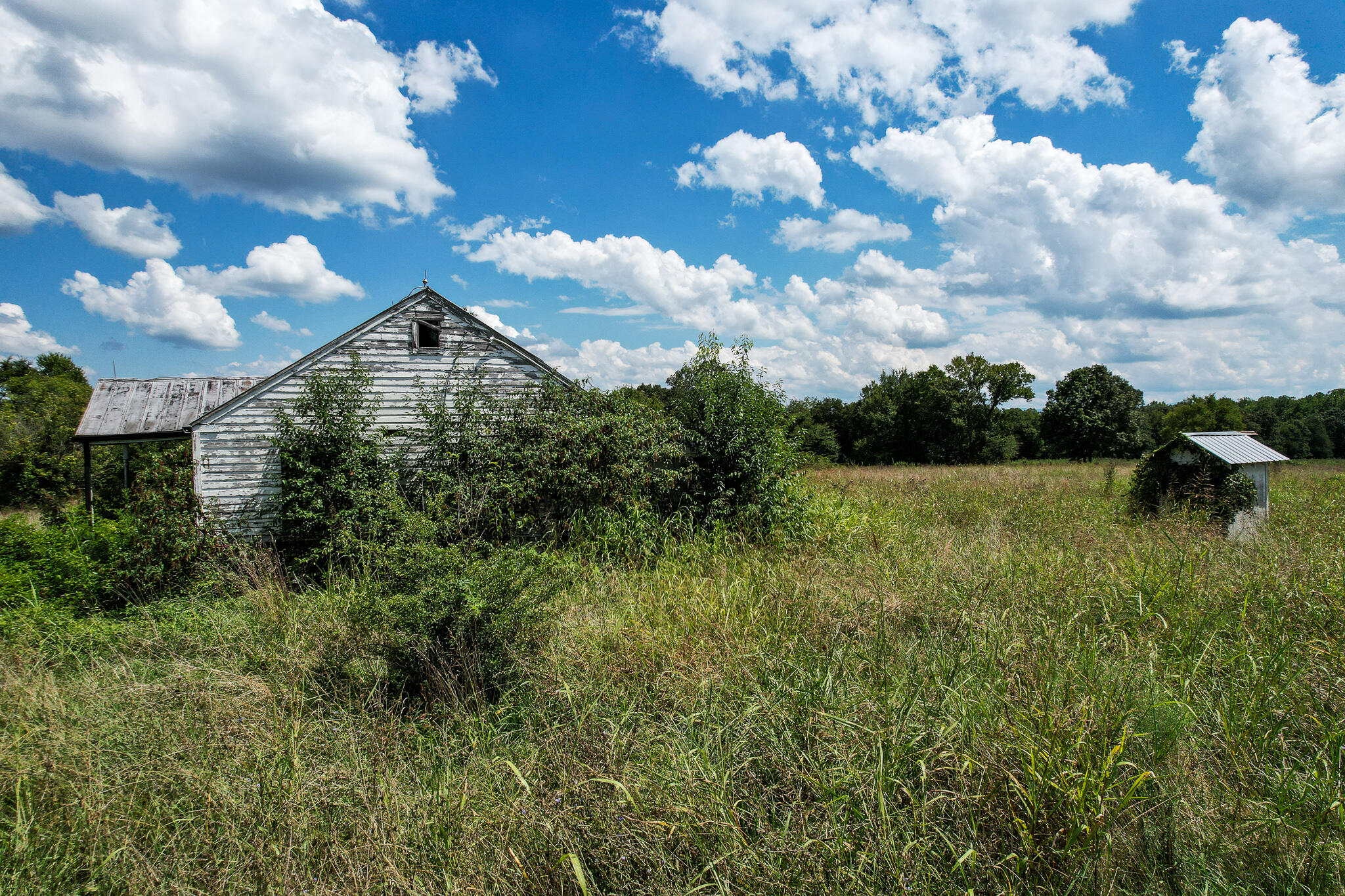 430 Ross County Road Greeneville, TN 37745 - Photo 1 of 13 DJI_0840