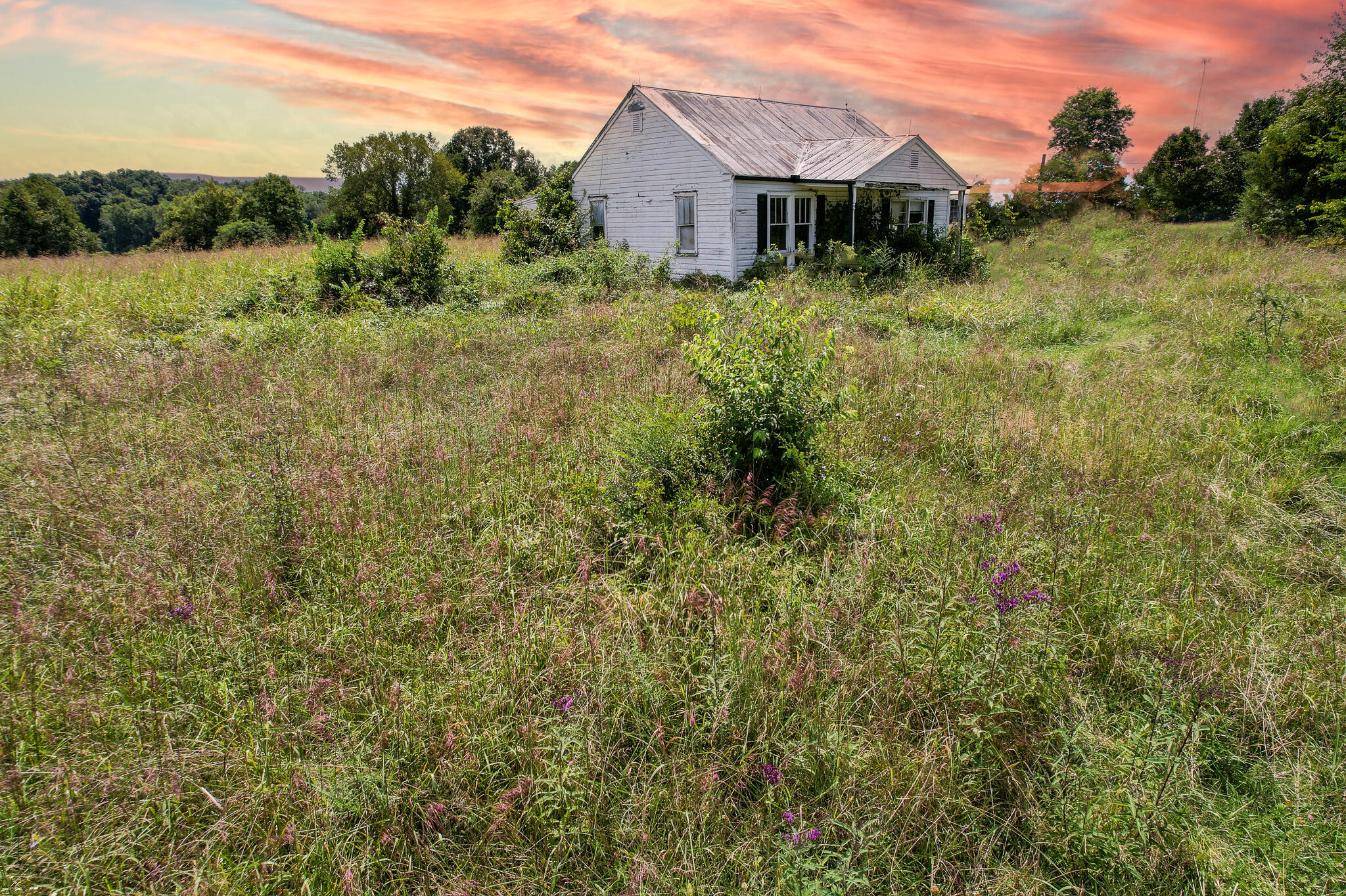 430 Ross County Road Greeneville, TN 37745 - Photo 6 of 13 DJI_0849-Edit