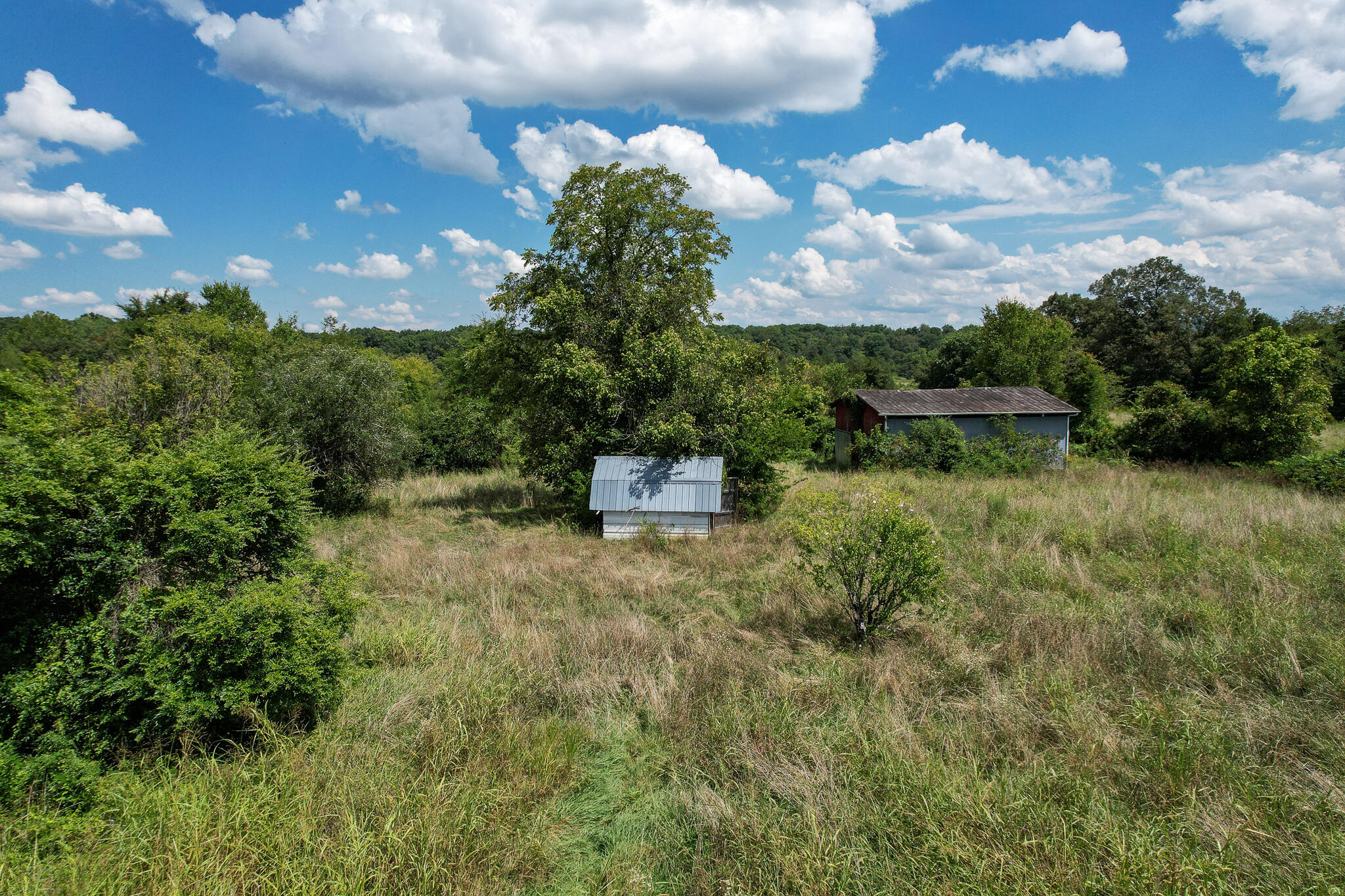 430 Ross County Road Greeneville, TN 37745 - Photo 8 of 13 DJI_0852