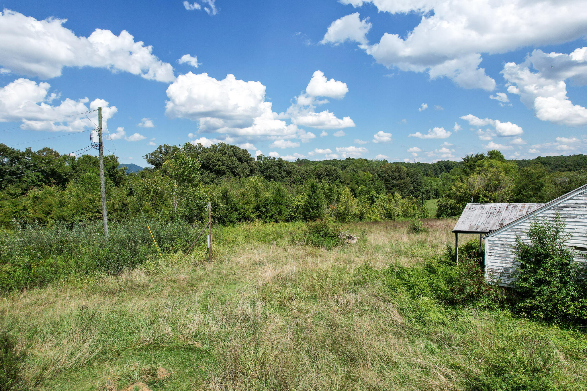 430 Ross County Road Greeneville, TN 37745 - Photo 9 of 13 DJI_0853