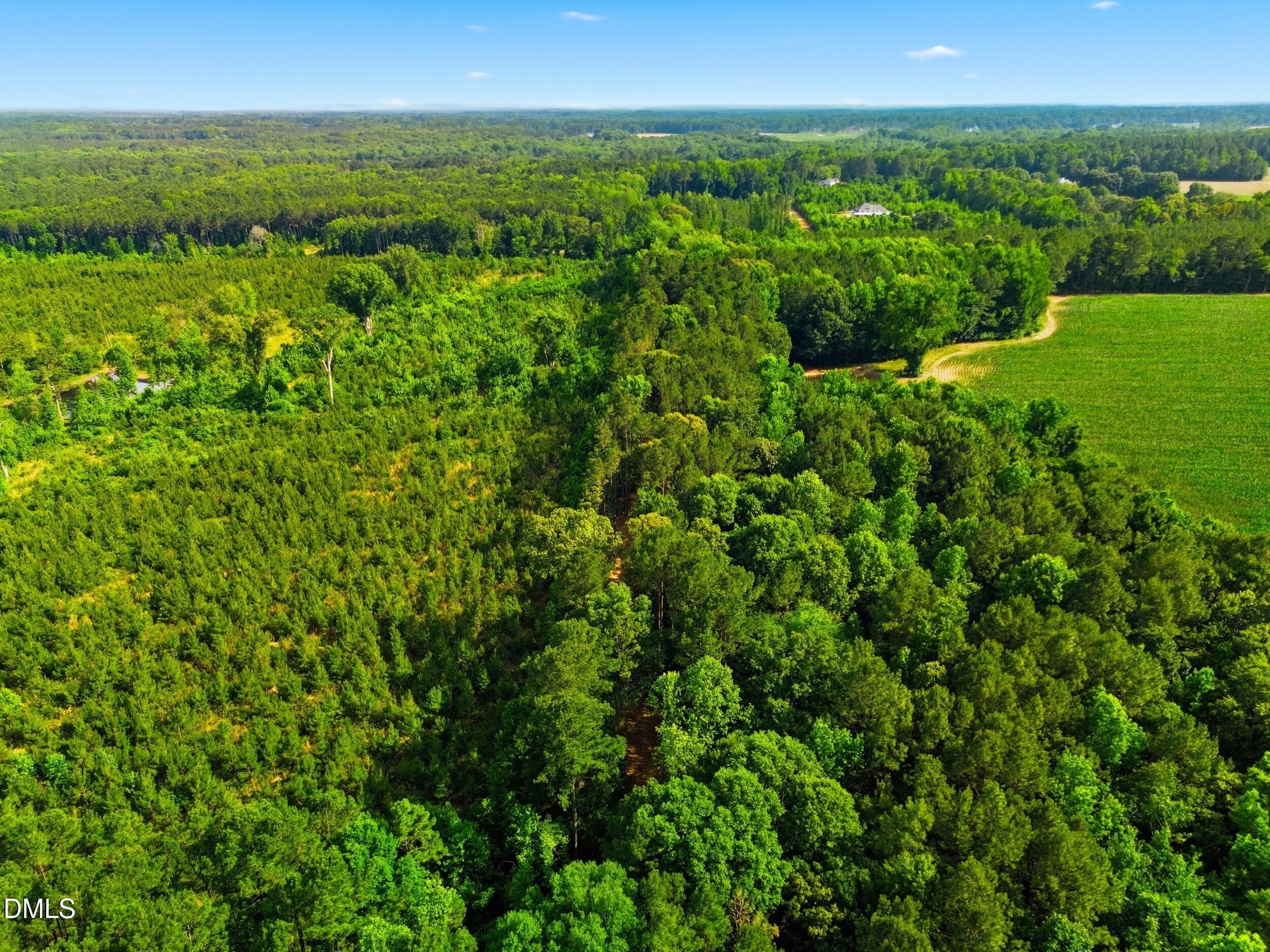 6.48-acres Flower Hill Road Middlesex, NC 27557 - Photo 6 of 9