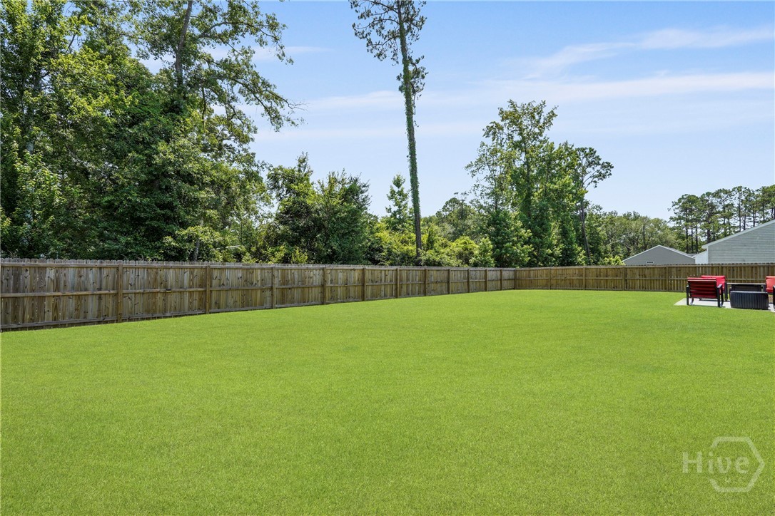 222 Hayden Place Rincon, GA 31326 - Photo 46 of 50 Back Yard
