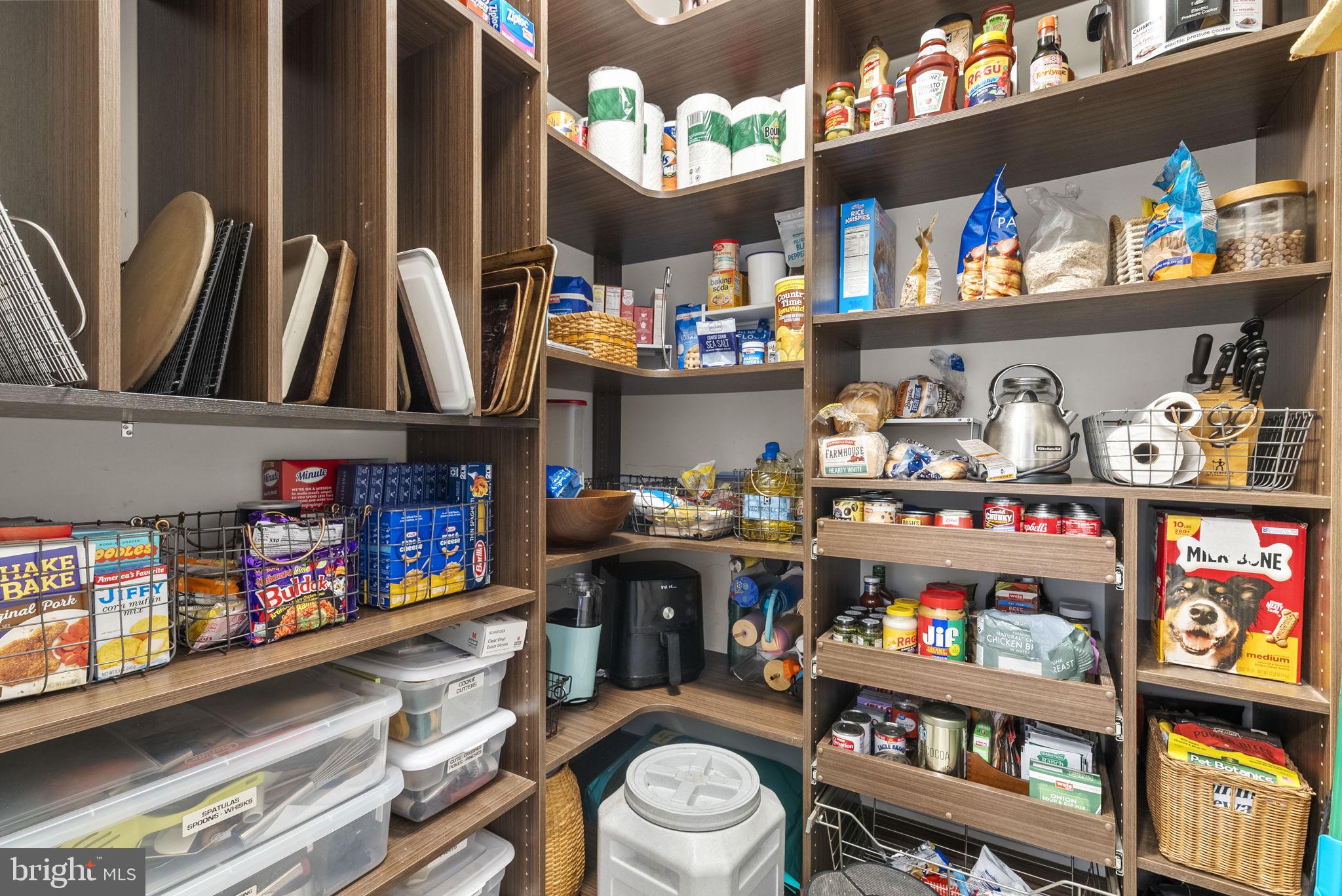 6 Gaver Way Middletown, MD 21769 - Photo 18 of 72 Walk in pantry with custom organization system