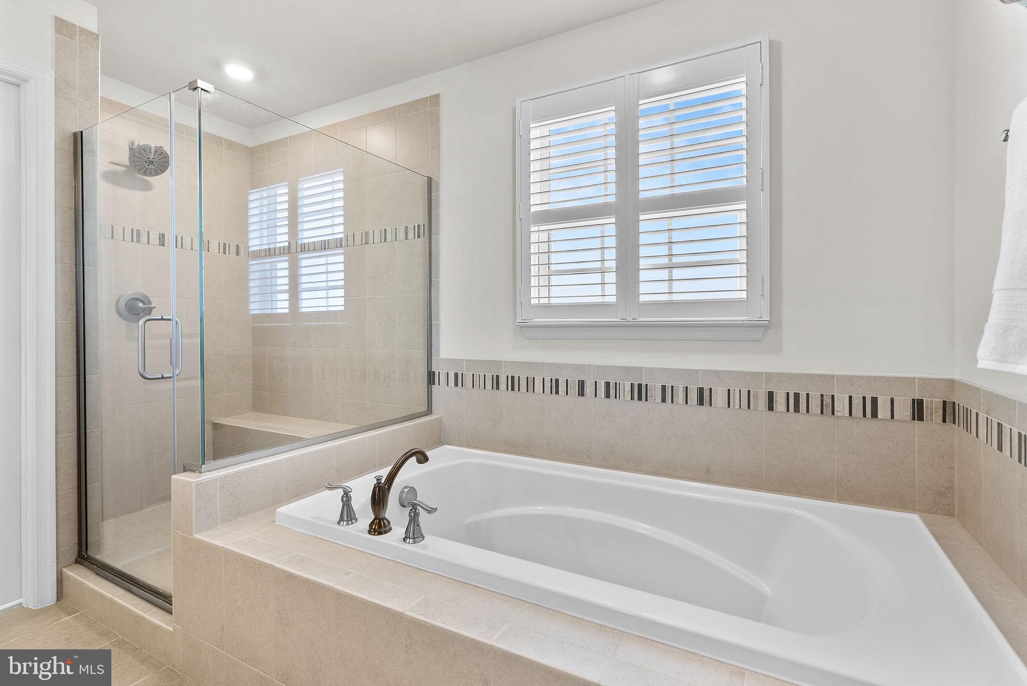 6 Gaver Way Middletown, MD 21769 - Photo 27 of 72 Primary Bathroom Soaking Tub and Shower