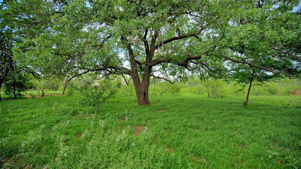 Tbd Tbd Cardwell Road Nocona, TX 76255 - Photo 21 of 30