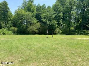 949 Vann Road Clinton, NC 28328 - Photo 6 of 8 backyard