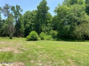 949 Vann Road Clinton, NC 28328 - Photo 7 of 8 backyard