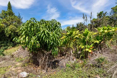 $950,000 | 81-1045 Lot 7 Keopuka Mauka Road, Kealakekua, HI 96750