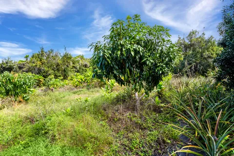 $950,000 | 81-1045 Lot 7 Keopuka Mauka Road, Kealakekua, HI 96750