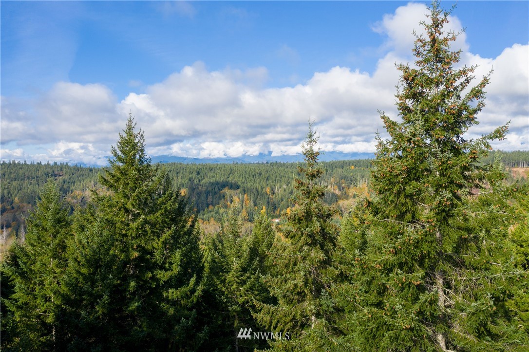 91 Klahowya Road Belfair, WA 98528 - Photo 1 of 16 Gallery Image 1