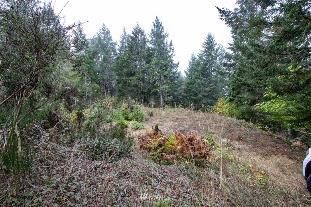91 Klahowya Road Belfair, WA 98528 - Photo 11 of 16 Gallery Image 11