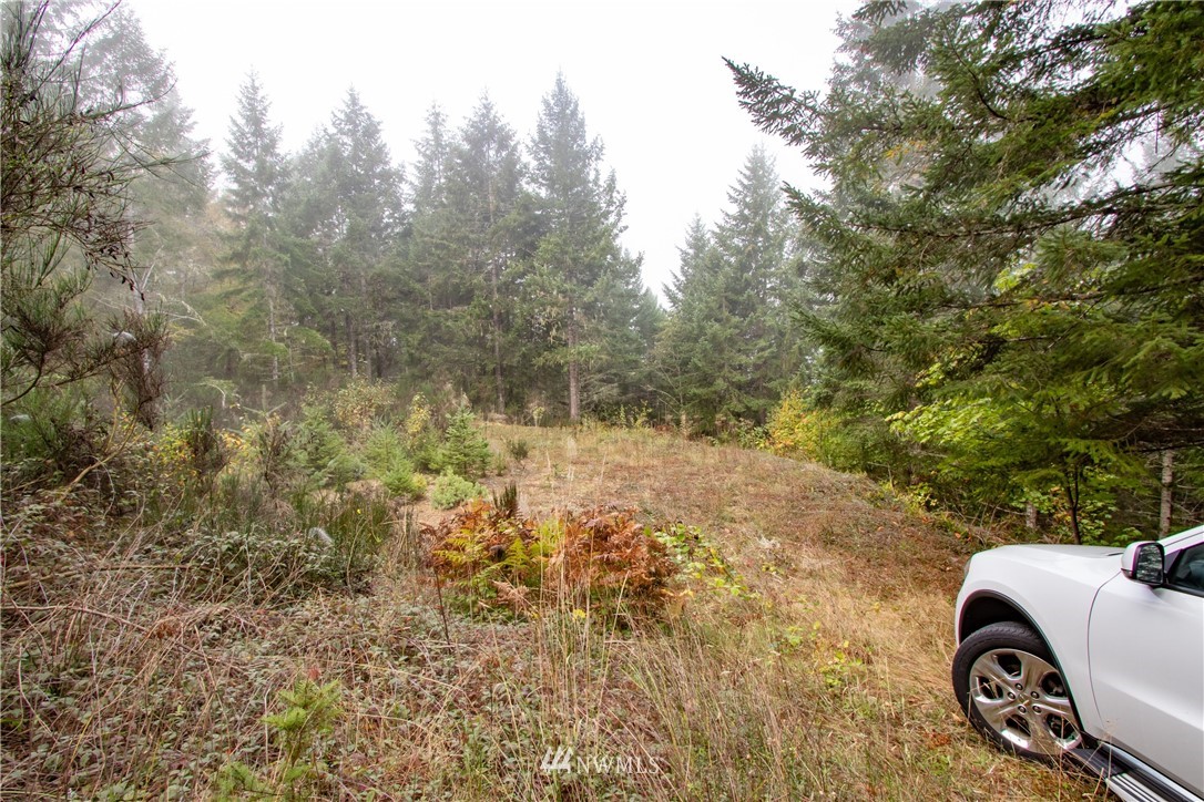 91 Klahowya Road Belfair, WA 98528 - Photo 14 of 16 Gallery Image 14