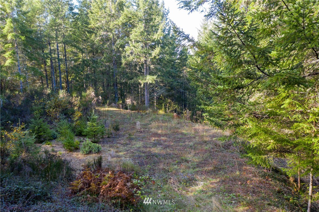 91 Klahowya Road Belfair, WA 98528 - Photo 15 of 16 Gallery Image 15