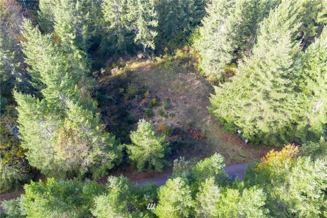 91 Klahowya Road Belfair, WA 98528 - Photo 16 of 16 Gallery Image 16