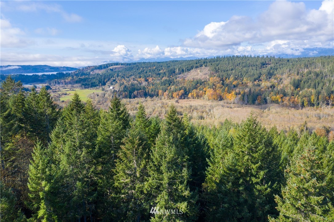 91 Klahowya Road Belfair, WA 98528 - Photo 3 of 16 Gallery Image 3
