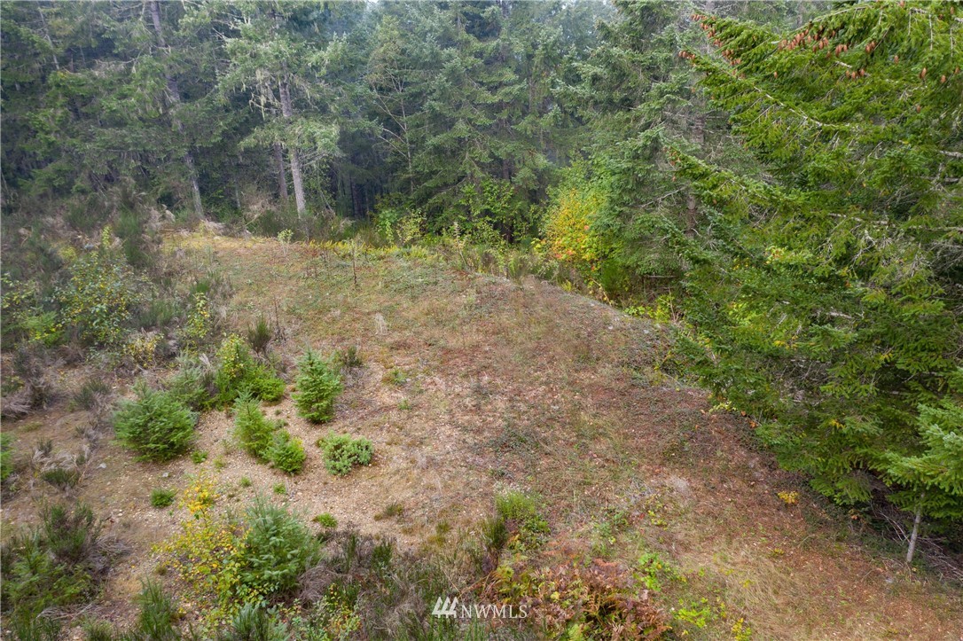 91 Klahowya Road Belfair, WA 98528 - Photo 4 of 16 Gallery Image 4