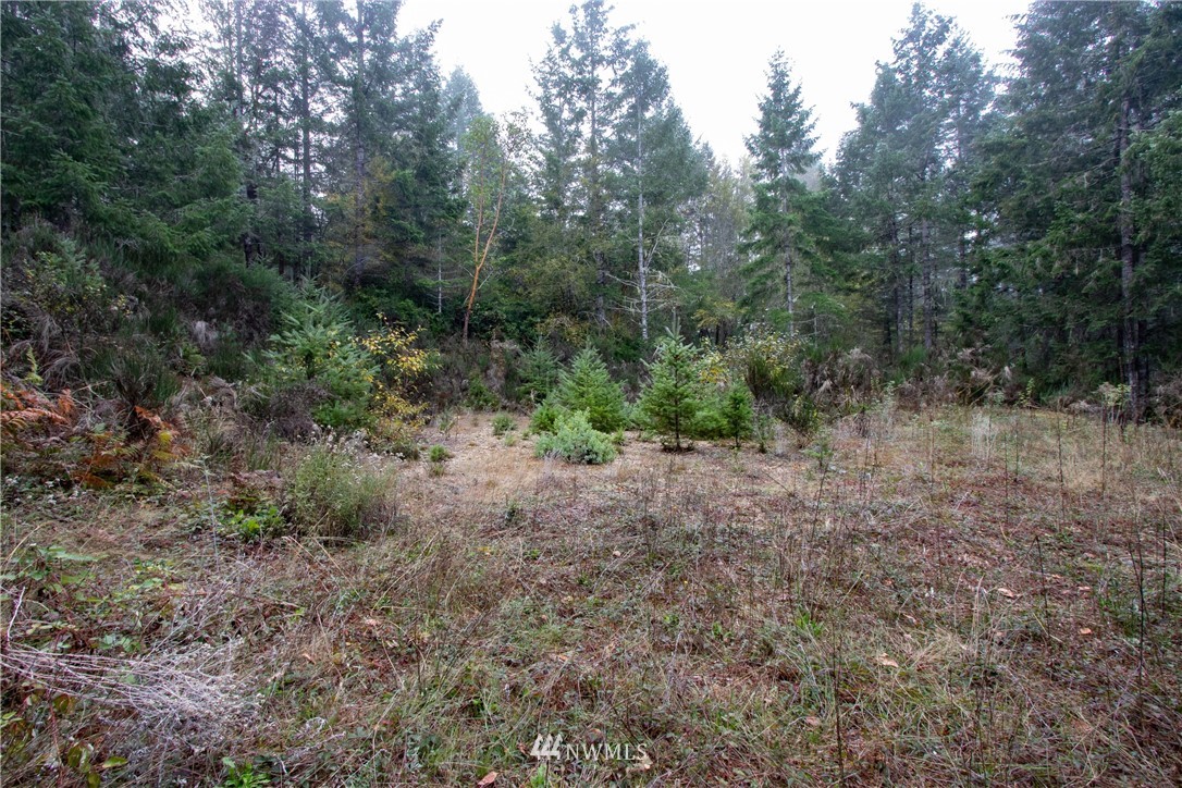 91 Klahowya Road Belfair, WA 98528 - Photo 5 of 16 Gallery Image 5