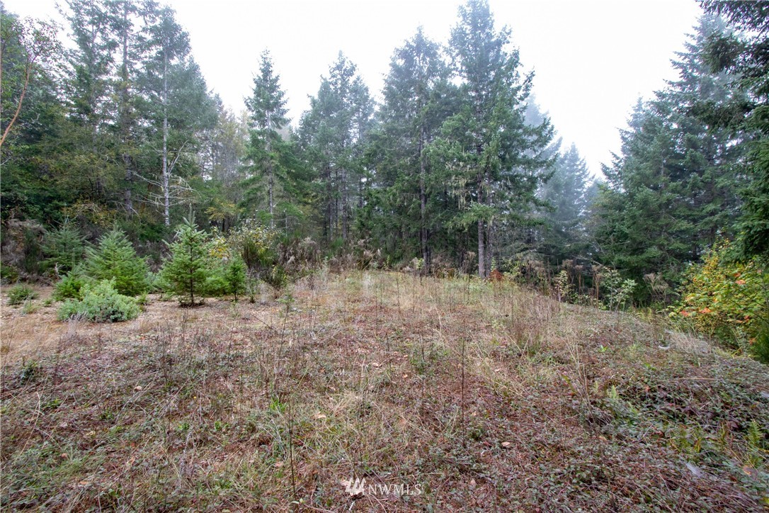 91 Klahowya Road Belfair, WA 98528 - Photo 6 of 16 Gallery Image 6