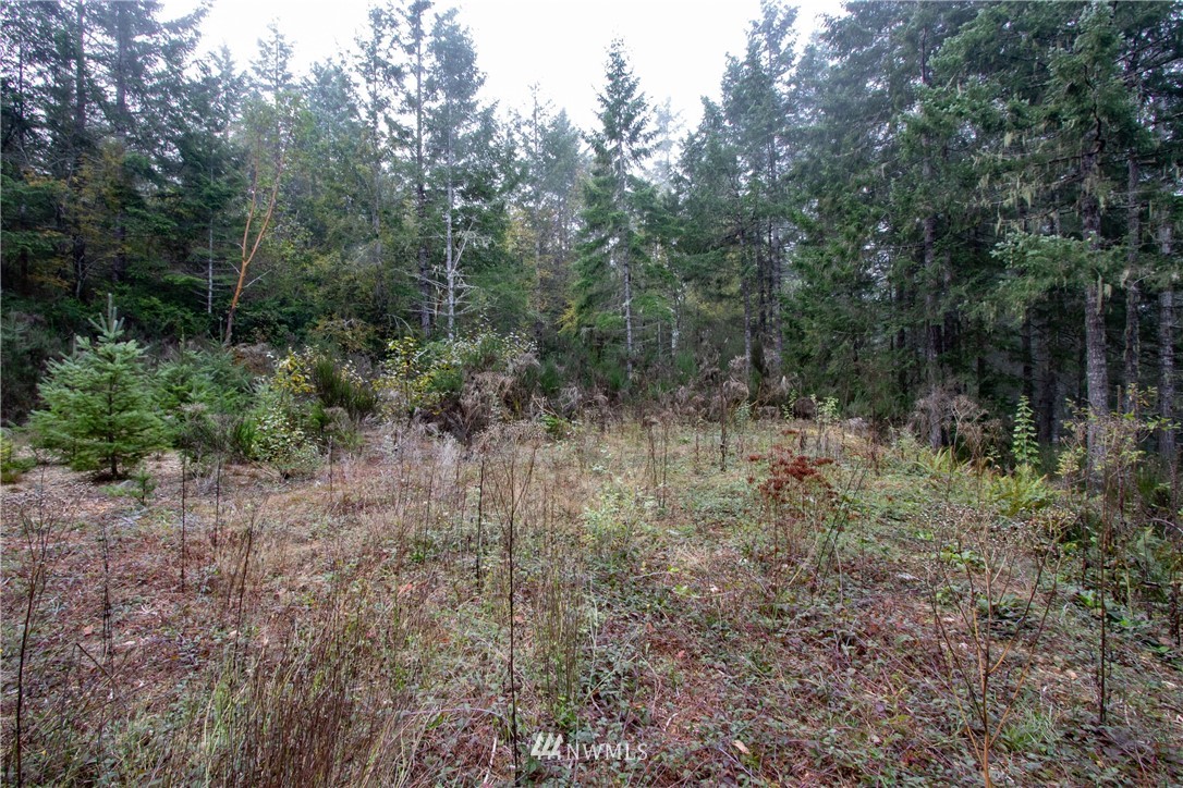 91 Klahowya Road Belfair, WA 98528 - Photo 7 of 16 Gallery Image 7