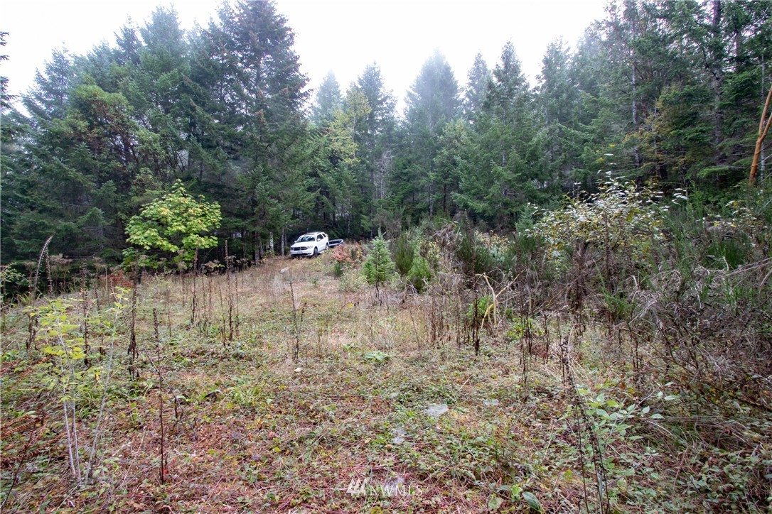 91 Klahowya Road Belfair, WA 98528 - Photo 8 of 16 Gallery Image 8