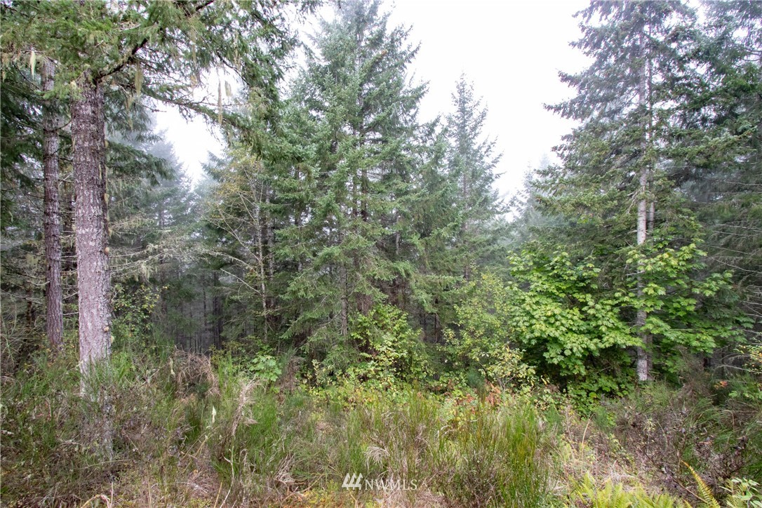 91 Klahowya Road Belfair, WA 98528 - Photo 9 of 16 Gallery Image 9