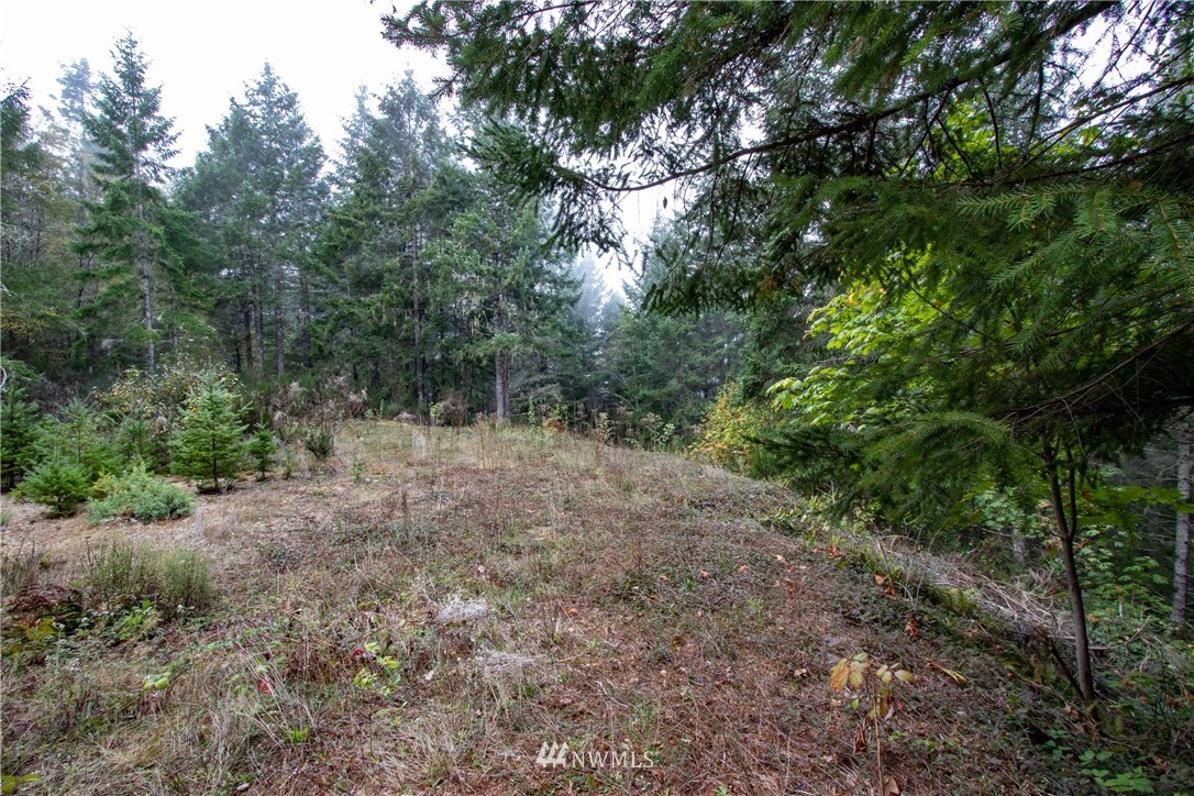 91 Klahowya Road Belfair, WA 98528 - Photo 10 of 16 Gallery Image 10