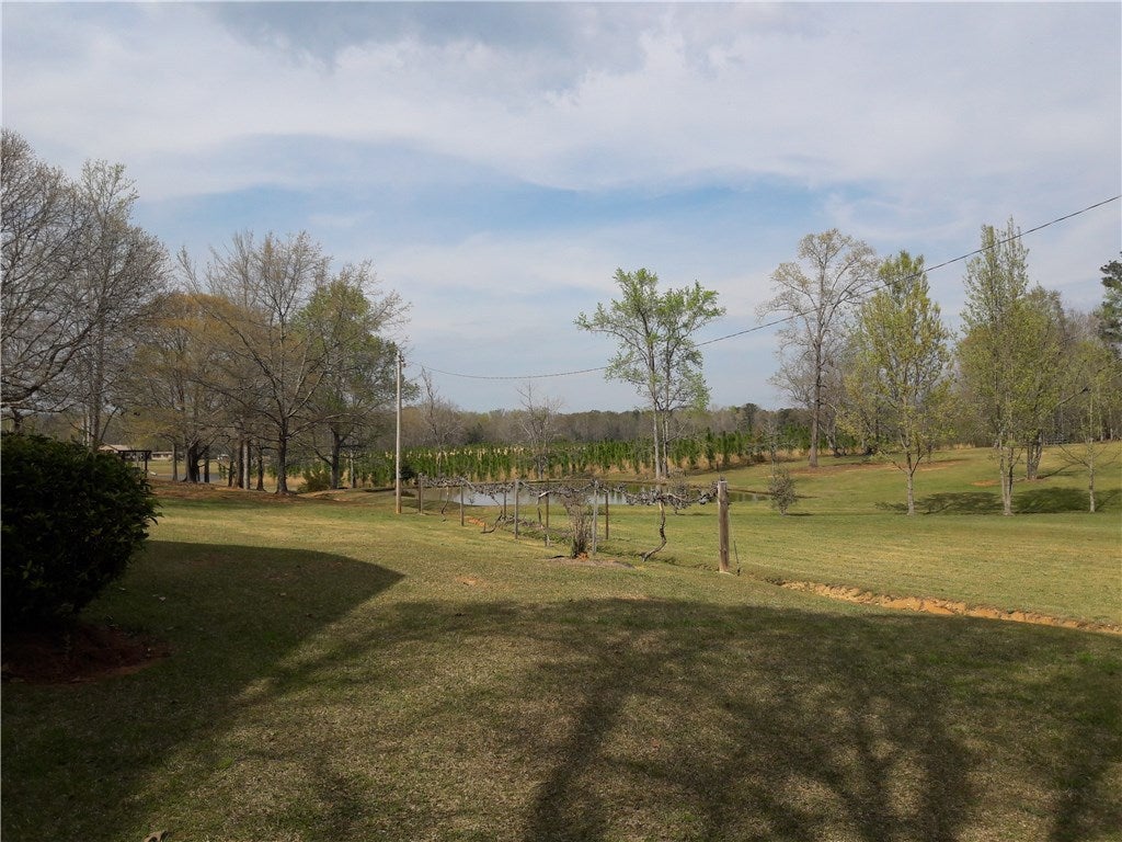 3138 Old Columbus Road Opelika, AL 36804 - Photo 4 of 25 Gallery Image 4