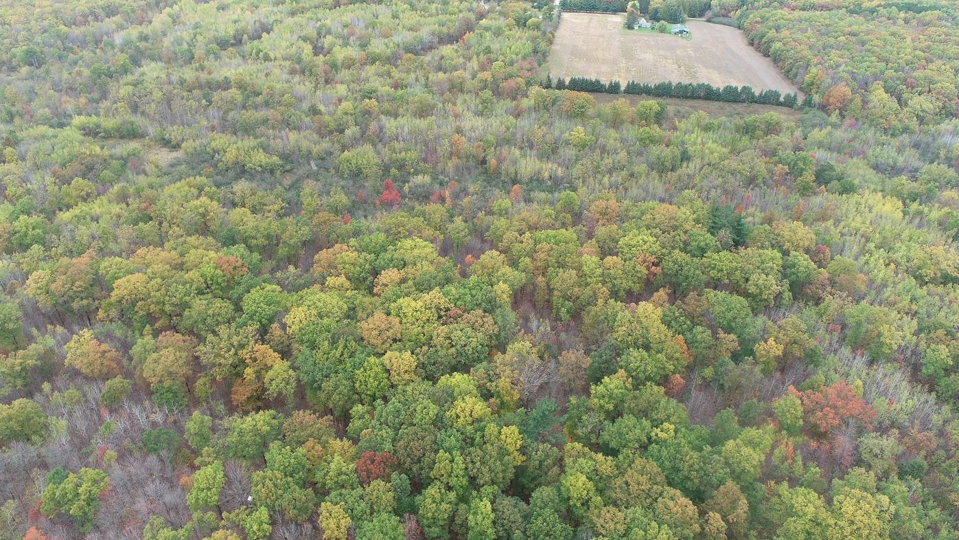 0 20th Avenue Cadott, WI 54727 - Photo 1 of 18