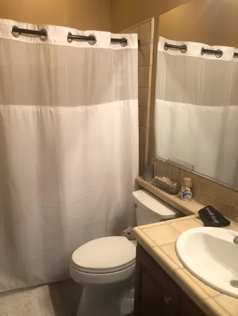 a view of a yard with plants