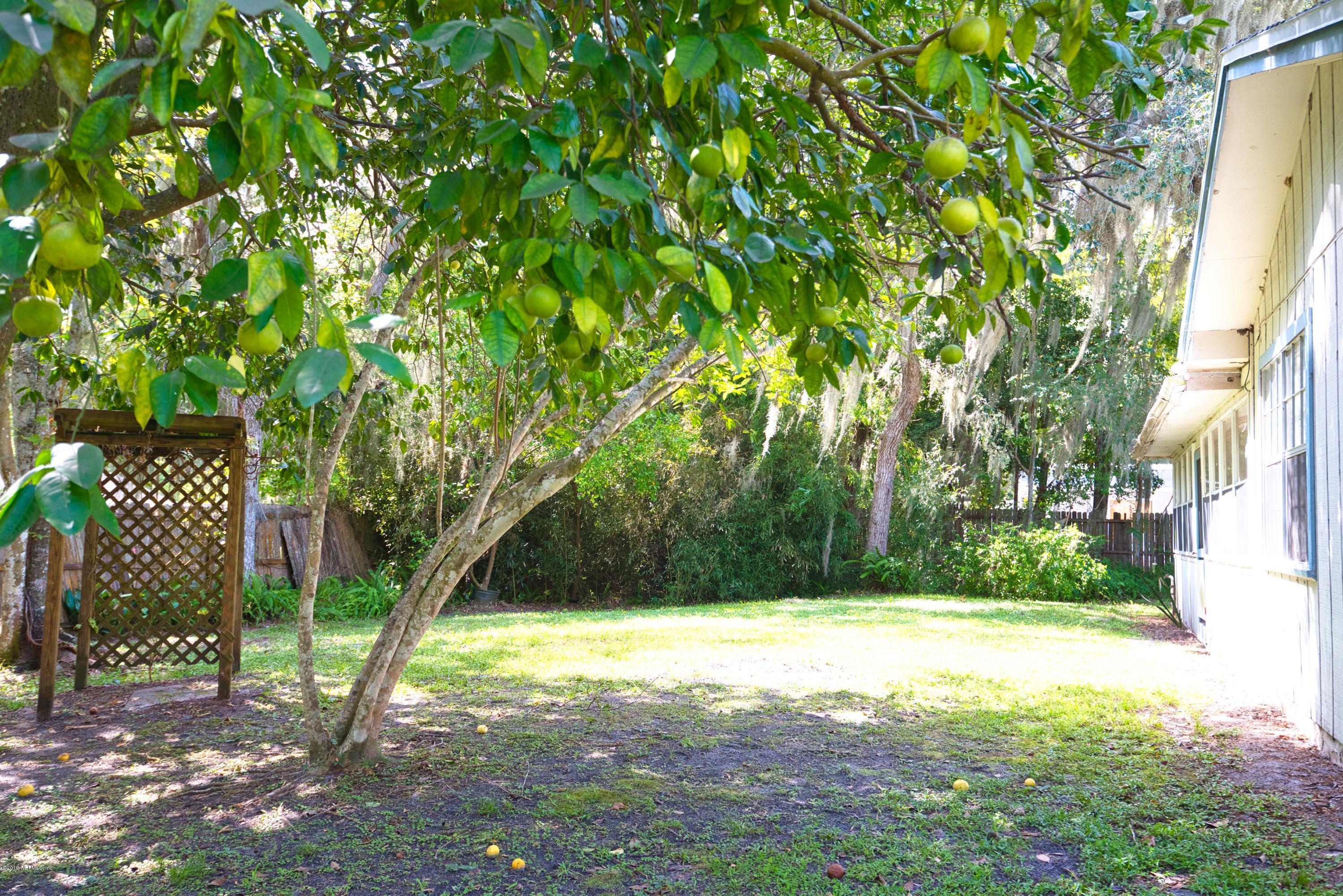 2980 Oak Road Orange Park, FL 32065 - Photo 32 of 37 Mature Fruit Trees