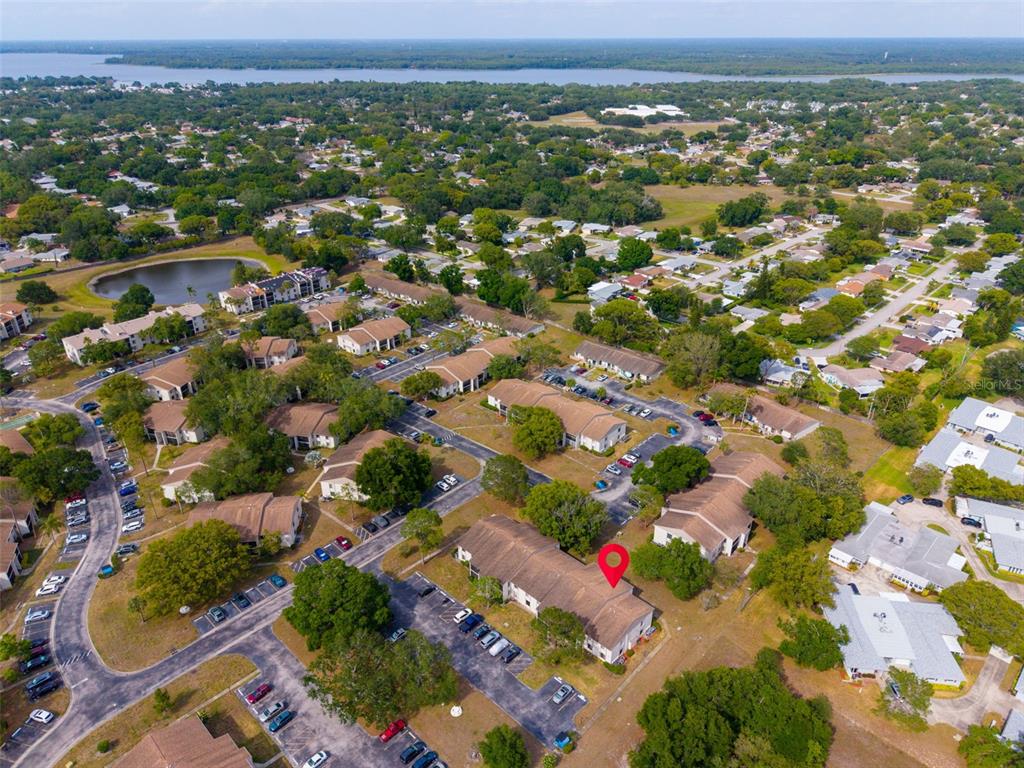 2642 Pine Ridge Way South, Unit G2 Palm Harbor, FL 34684 - Photo 27 of 31